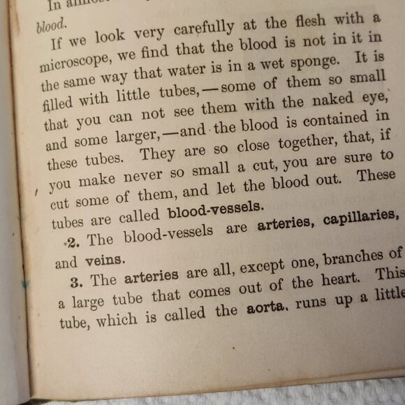 Antique -Primer of Physiology & Hygiene, W T Smith, 1885, 1st Edition Book. - Picture 9 of 15
